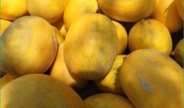 哈密瓜吃的卡路里,健康美味两不误