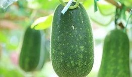 吃瓜群众好好吃瓜,揭秘娱乐圈幕后故事