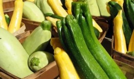 南方的夏天吃瓜,南方夏日吃瓜指南