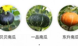 吃瓜群众好好吃瓜,揭秘娱乐圈幕后故事