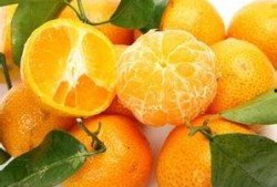 娱乐吃瓜橘子精,橘子精的吃瓜传奇