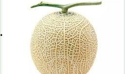 吃瓜群众团扇,夏日纳凉新风尚