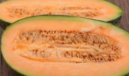 帅哥吃哈密瓜吗,哈密瓜大挑战