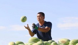 风吃瓜图片,揭秘网络热图背后的故事