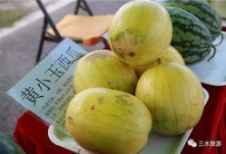 吃甜宝瓜,探寻甜宝瓜的独特魅力