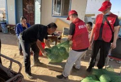 吃瓜小分队出动,揭秘娱乐圈幕后风云