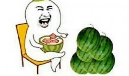 吃瓜少说话,揭秘娱乐圈背后的真相