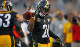 贝尔吃沙漠瓜,沙漠瓜果的奇妙之旅