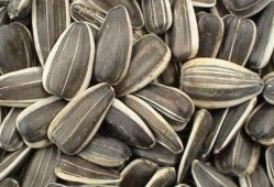 孕期吃老瓜,老瓜助力母婴健康