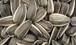 孕期吃老瓜,老瓜助力母婴健康