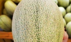 孩子吃晓蜜瓜好吗,孩子食用益处多，营养美味两不误