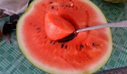 网友吃瓜很,揭秘娱乐圈幕后真相