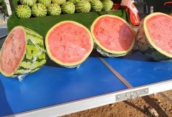 去医院吃瓜,一场别开生面的就医体验