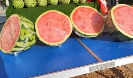 去医院吃瓜,一场别开生面的就医体验