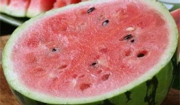 吃麒麟瓜放屁,吃出欢乐放屁时光