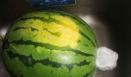 吃变质瓜,揭秘变质瓜的危害与防范