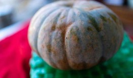 吃瓜七瓣,一场味蕾与文化的碰撞之旅