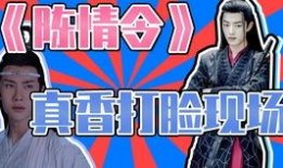 大型吃瓜神剧视频,揭秘幕后真相，带你领略娱乐圈风云变幻