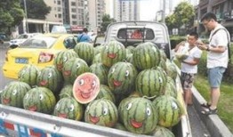 爸爸变成吃瓜群众