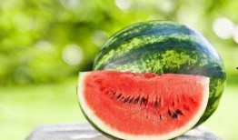 夏天吃瓜好时节,瓜果飘香——夏季吃瓜指南