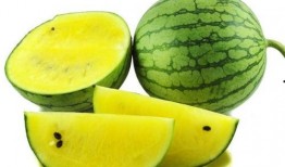 心悦吃瓜后续,揭秘娱乐圈背后的真相与反转