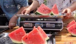 松溪吃瓜比赛视频,一场速度与口感的较量