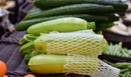 经瓜种子怎么吃,解锁经瓜种子的多样食法