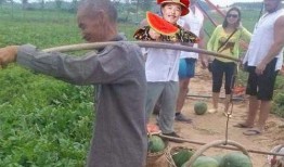 坐路边吃瓜,见证人间百态