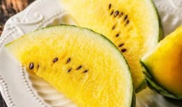 真实缅北免费吃瓜,免费吃瓜背后的真实故事