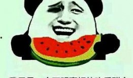 你的吃瓜朋友,一场趣味横生的社交盛宴