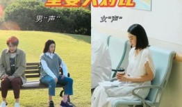 吃瓜不如谈恋爱,告别吃瓜，拥抱恋爱新篇章