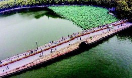 西湖断桥吃瓜,夏日吃瓜趣事多