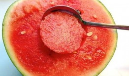 有些瓜不能随便吃,揭秘哪些瓜不能随便吃