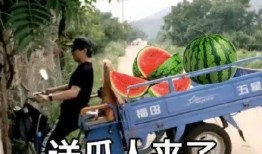 2021微信吃瓜群,揭秘网络社交的“瓜田”盛景