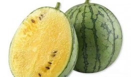 吃瓜板,吃瓜板带你领略明星幕后故事