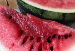 日照岚山吃瓜熟透,瓜熟蒂落，尽享夏日甜蜜时光