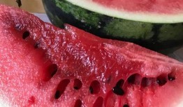 日照岚山吃瓜熟透,瓜熟蒂落，尽享夏日甜蜜时光