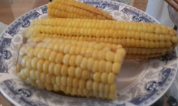 早上吃贝贝瓜和玉米,营养美味一网打尽