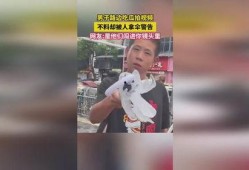 拍视频的吃瓜,镜头下的真实与趣味