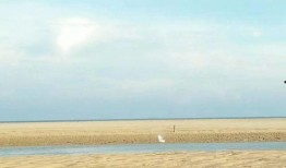 海岸边吃瓜,品味夏日吃瓜乐趣