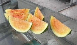 玉窖吃瓜,揭秘古代宫廷的消暑秘籍