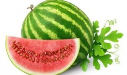 可爱的小瓜怎么吃,探索可爱小瓜的吃法世界