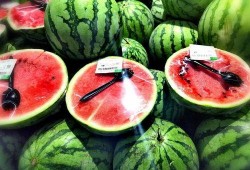 二瓜吃瓜吃到自己,意外成为瓜中瓜王