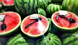 二瓜吃瓜吃到自己,意外成为瓜中瓜王