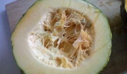 蒸着吃的瓜叫什么瓜