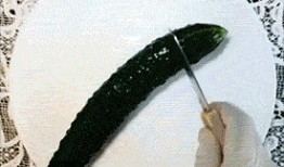 嗑瓜吃瓜表情包gif,嗑瓜吃瓜表情包GIF，趣味横生的网络潮流