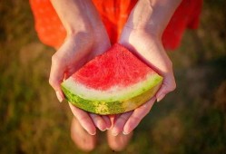 地球吃瓜君,揭秘地球上的奇闻异事